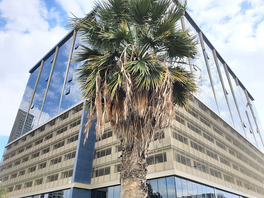 İzmir Gıda Çarşısında 4+1 Oda 260 m2 Net Köşe Kiralık Ofis